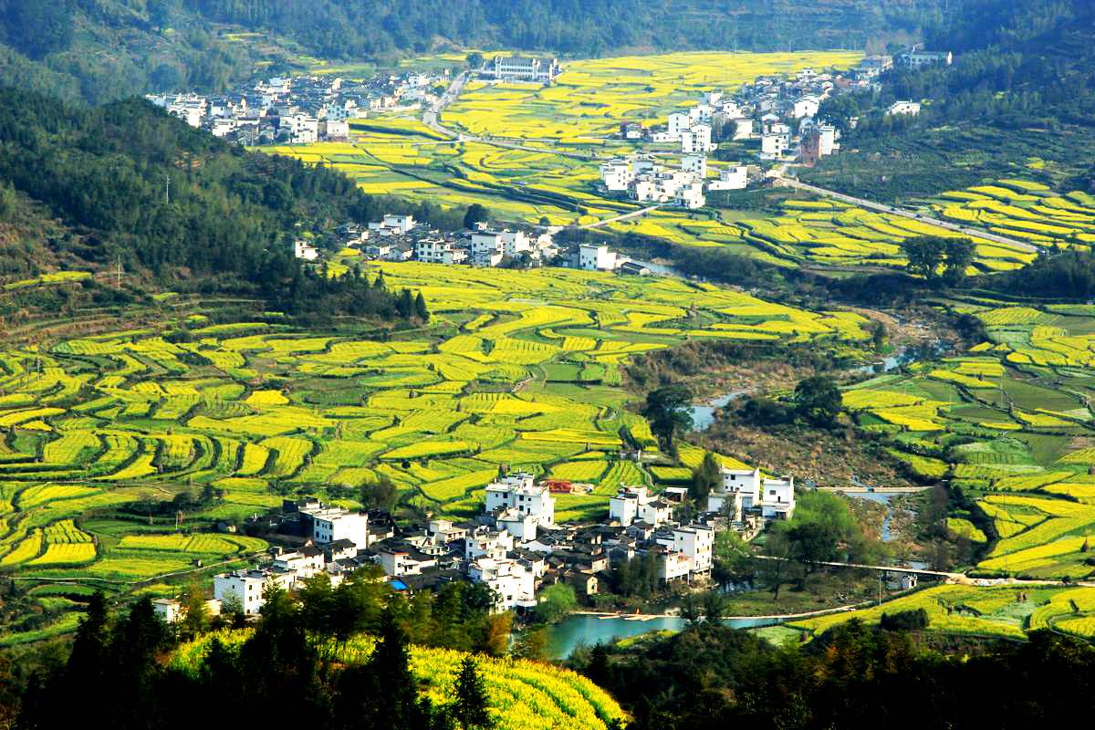 婺源江岭景区门票单独景点门票江岭景区万亩梯田花海三月专属