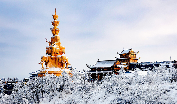 峨眉山金顶乐山大佛全景真纯玩一日游三环内包接野生灵猴赠送豆腐脑香
