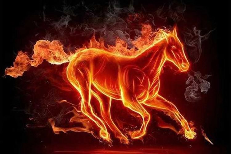 坝上中国马镇梦马白马酒两天一晚冰火节舞马世界乐园无无限次数入园