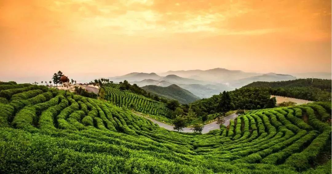 漳州高峰谷风景区电子票