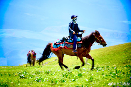 马背旅行骑马游辉腾锡勒草原专业马术训练草原野骑体验gopro跟拍提供