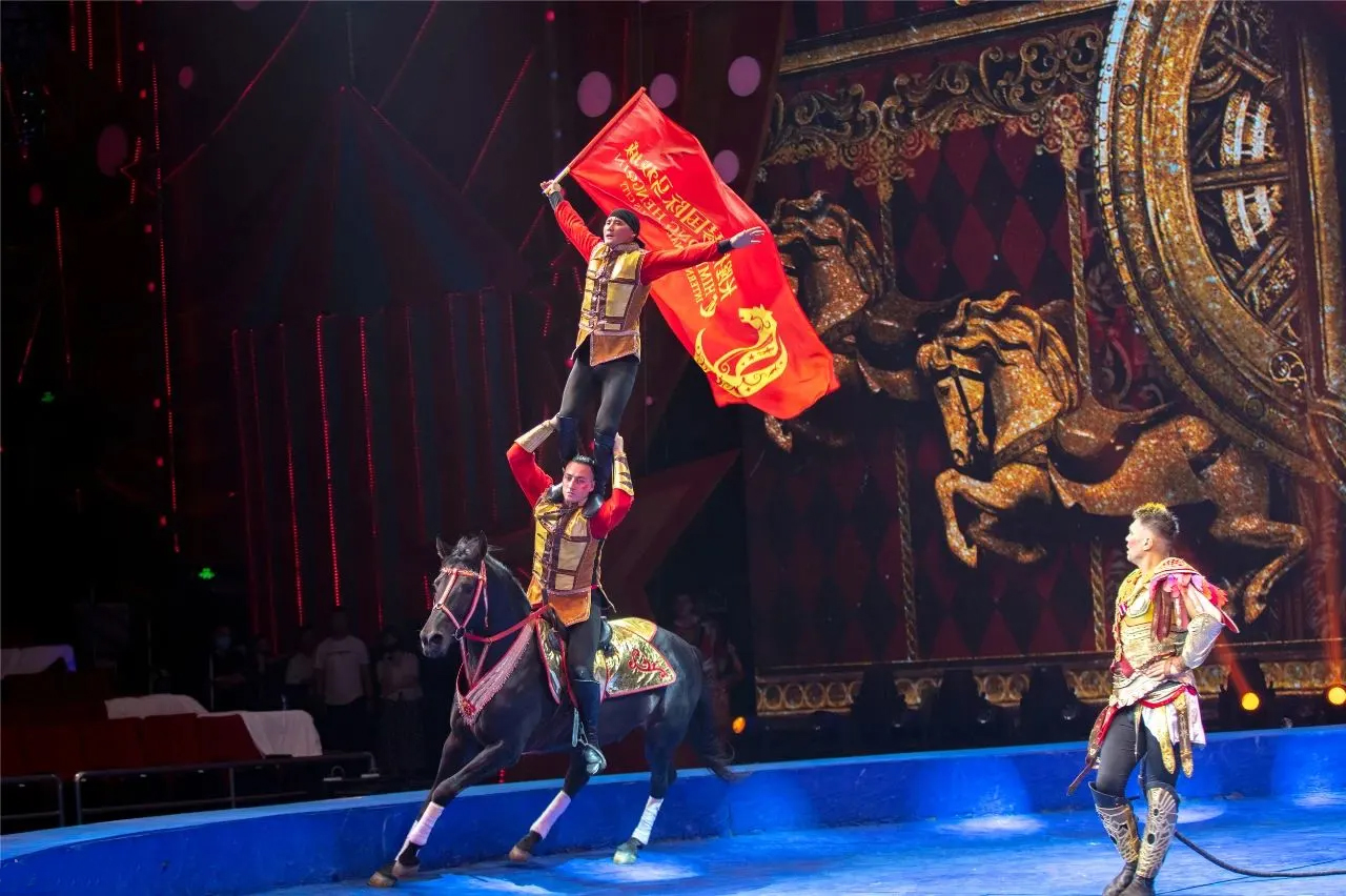 珠海横琴长隆国际大马戏普通票一等座vip座多票型360度环回式3d视觉