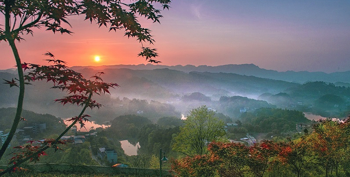 重庆南湖多彩植物园点子门票扫码入园
