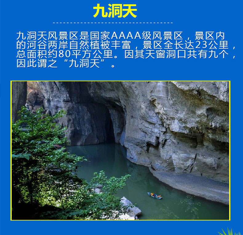 贵州包车纯玩毕节1日游百里杜鹃织金洞草海韭菜坪九洞天纯玩无购物