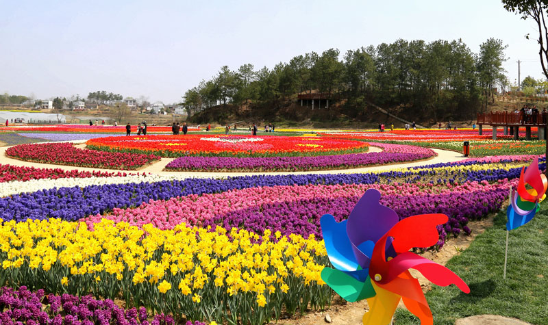 武汉木兰花乡门票电子票山青水秀鸟语花香之地五一自驾游五一省钱攻略