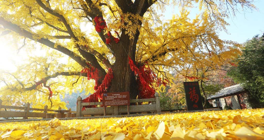 威海荣成圣水观门票道教全真派发祥地
