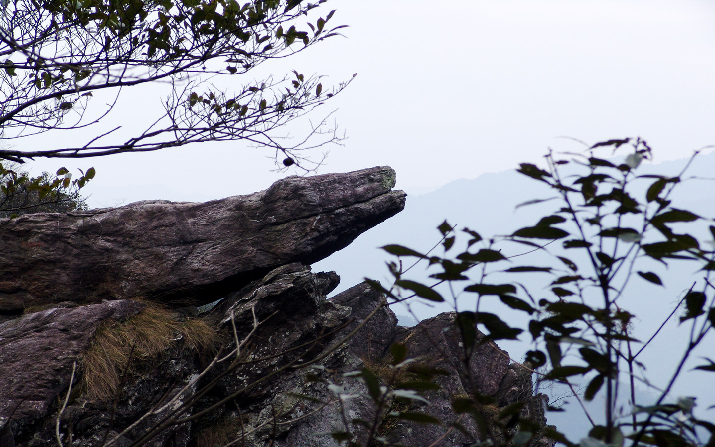 靖安三爪仑观音岩景区门票(当天9点之前可定)