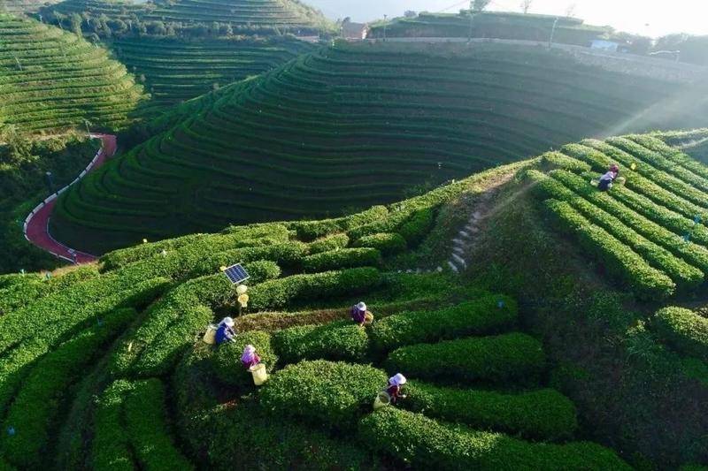 漳州平和高峰谷景区当天可预订电子门票