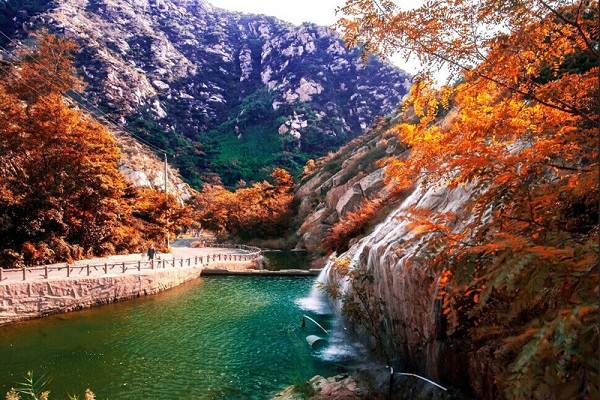 山东青岛茶山风景区门票快捷入园