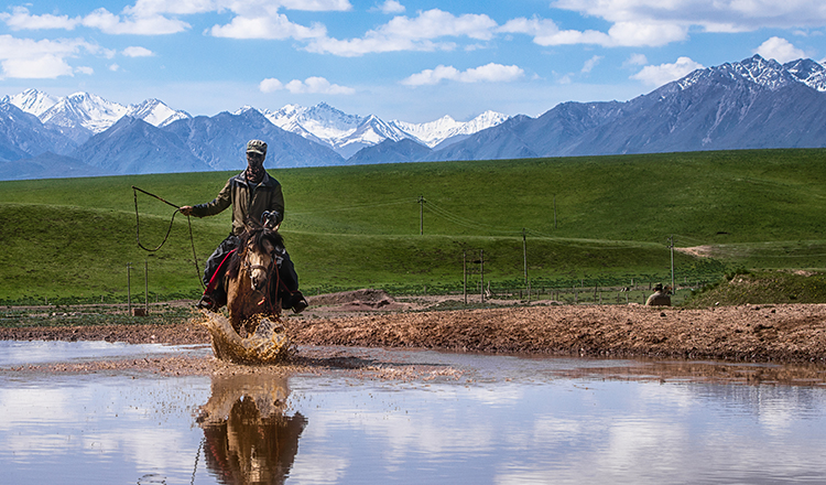 山丹军马场骑马放牧5日游深度骑行之旅牧师苑马术训练营(马术教学52