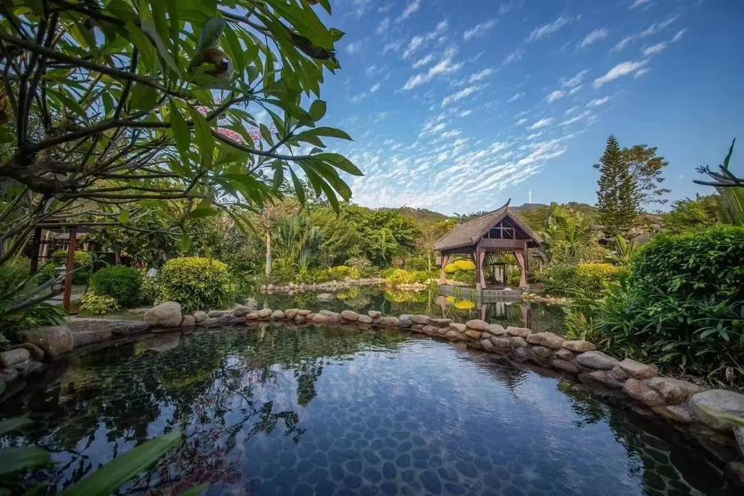 茂名御水古温泉旅游度假区门票