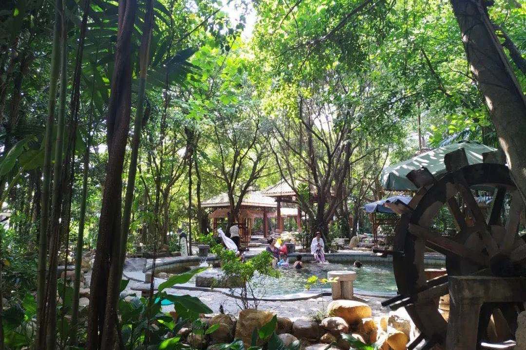 九曲湾温泉双人票