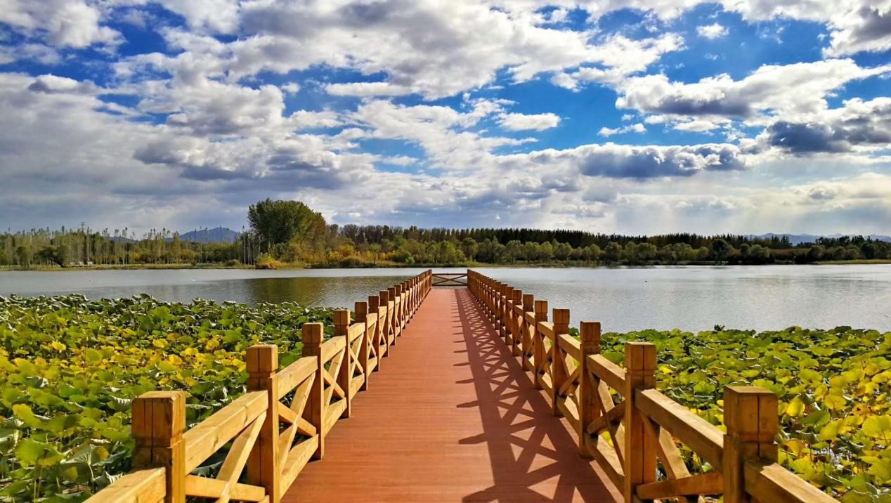 延庆森林氧吧自行车骑游户外活动妫河森林公园经典线路骑行专业骑行