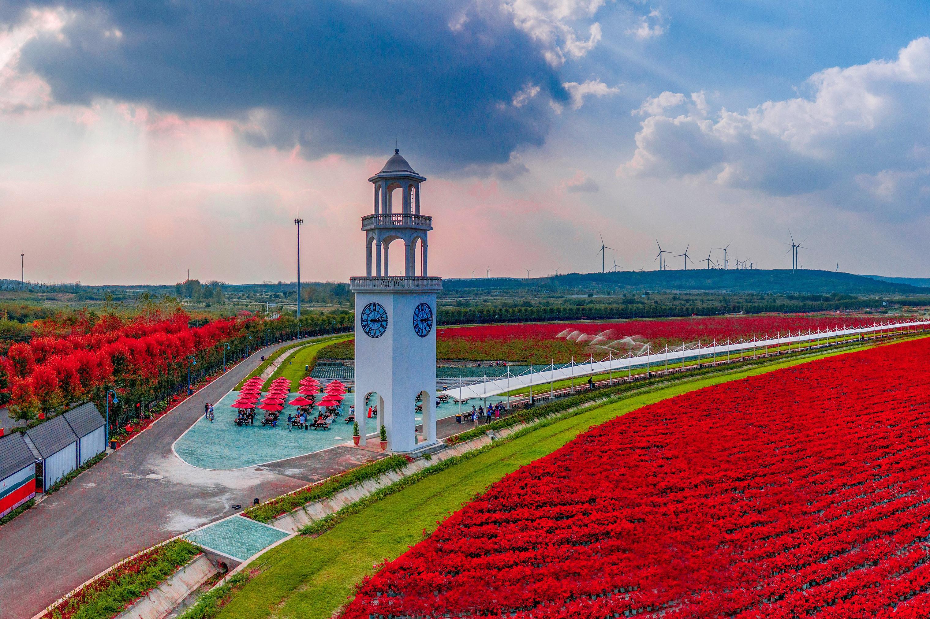 南京枫彩漫城一日电子门票