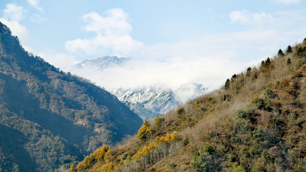 【雪山环抱】熊猫坪被雪山环抱,可以一览4141火烧杠