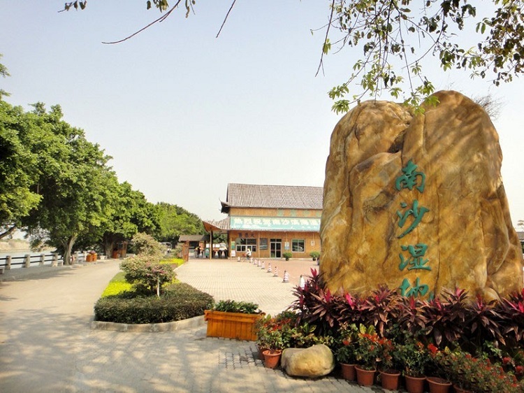 广州南沙湿地公园门票市民休闲度假好去处