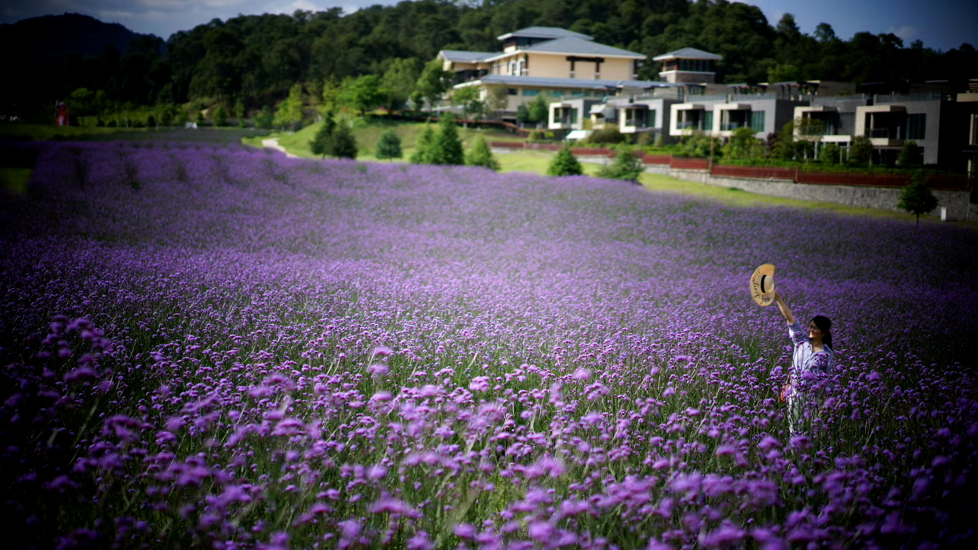 腾冲原乡栖花岭成人票门票