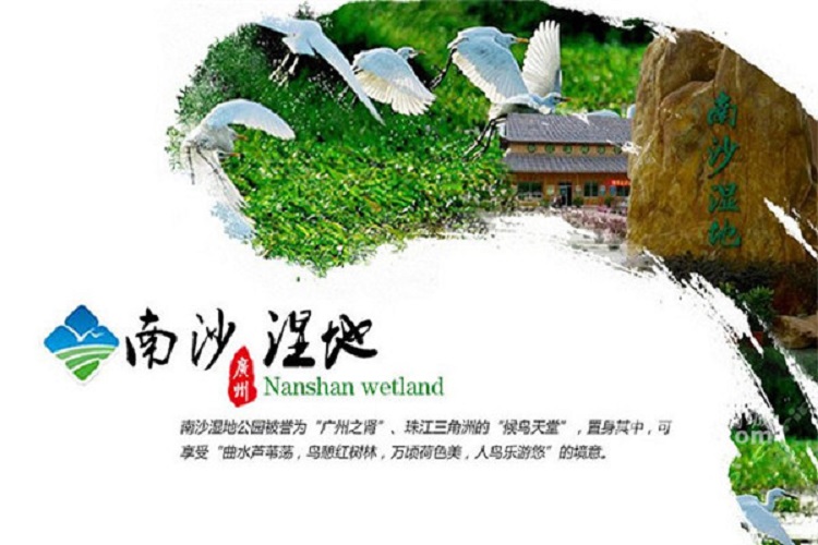 广州南沙湿地公园门票市民休闲度假好去处