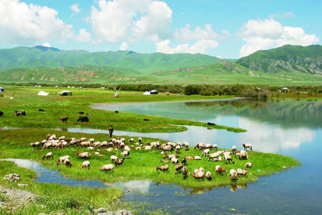 甘南甘加秘境景区门票