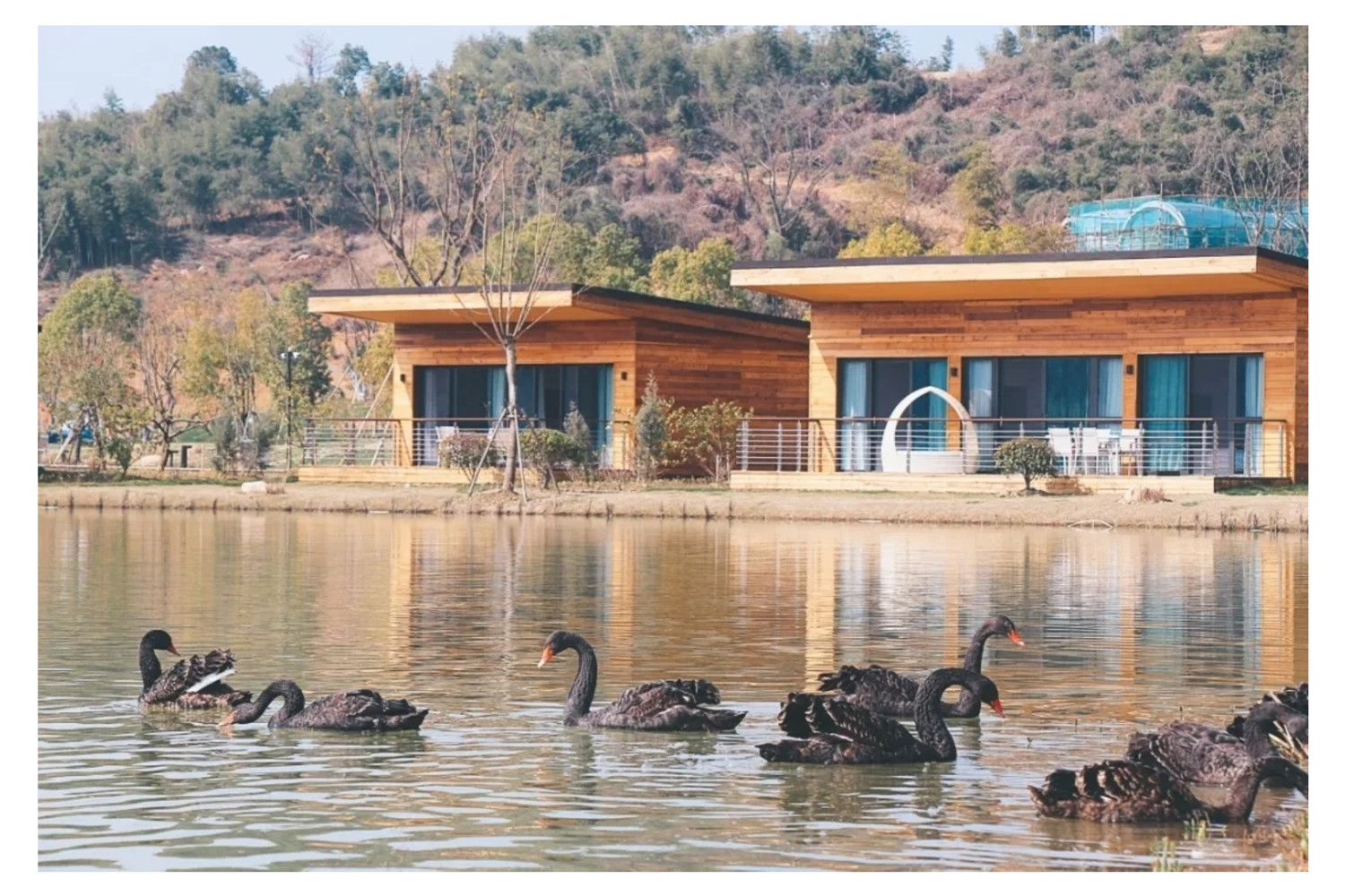 德清县莫干山开元森泊度假酒店1晚水乐园幻想岛任选2份户外游乐芙罗拉