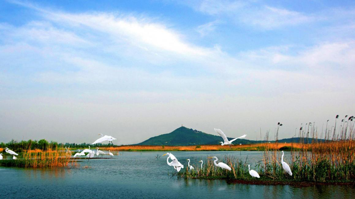 湖州长兴仙山湖门票(天鹅也在此安家 神秘的古河道 地藏王菩萨祖庭)