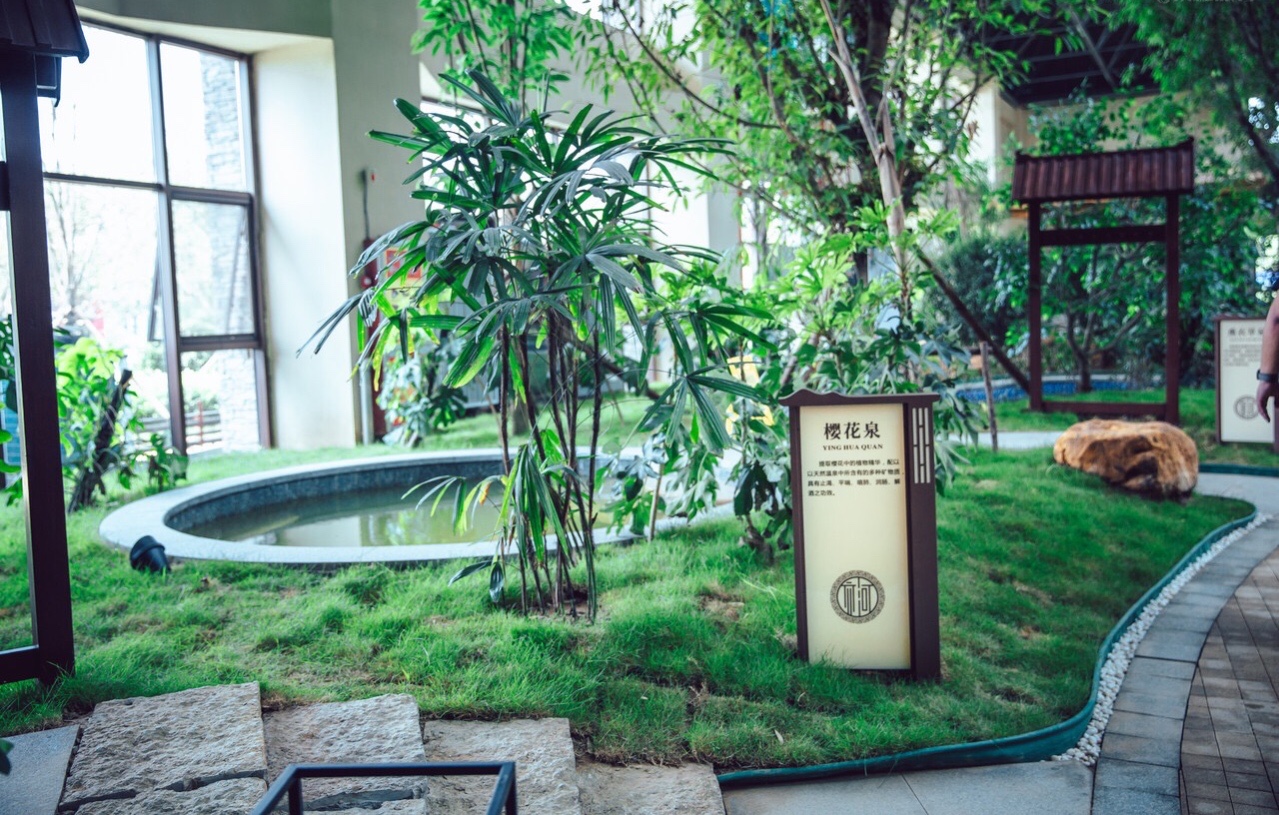 齐河阿尔卡迪亚温泉酒店1晚双人自助早餐双人禹泉温泉票园景大双床可