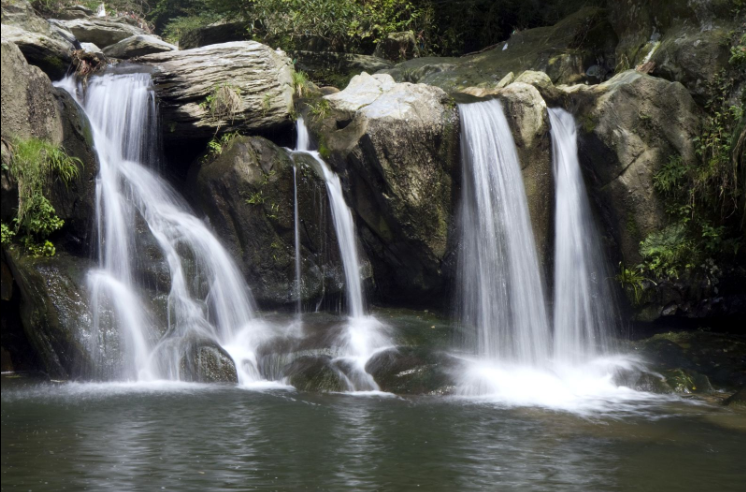 经小天池庐山会议旧址吼虎岭博物馆含鄱口植物园五老峰三叠泉专车陪同