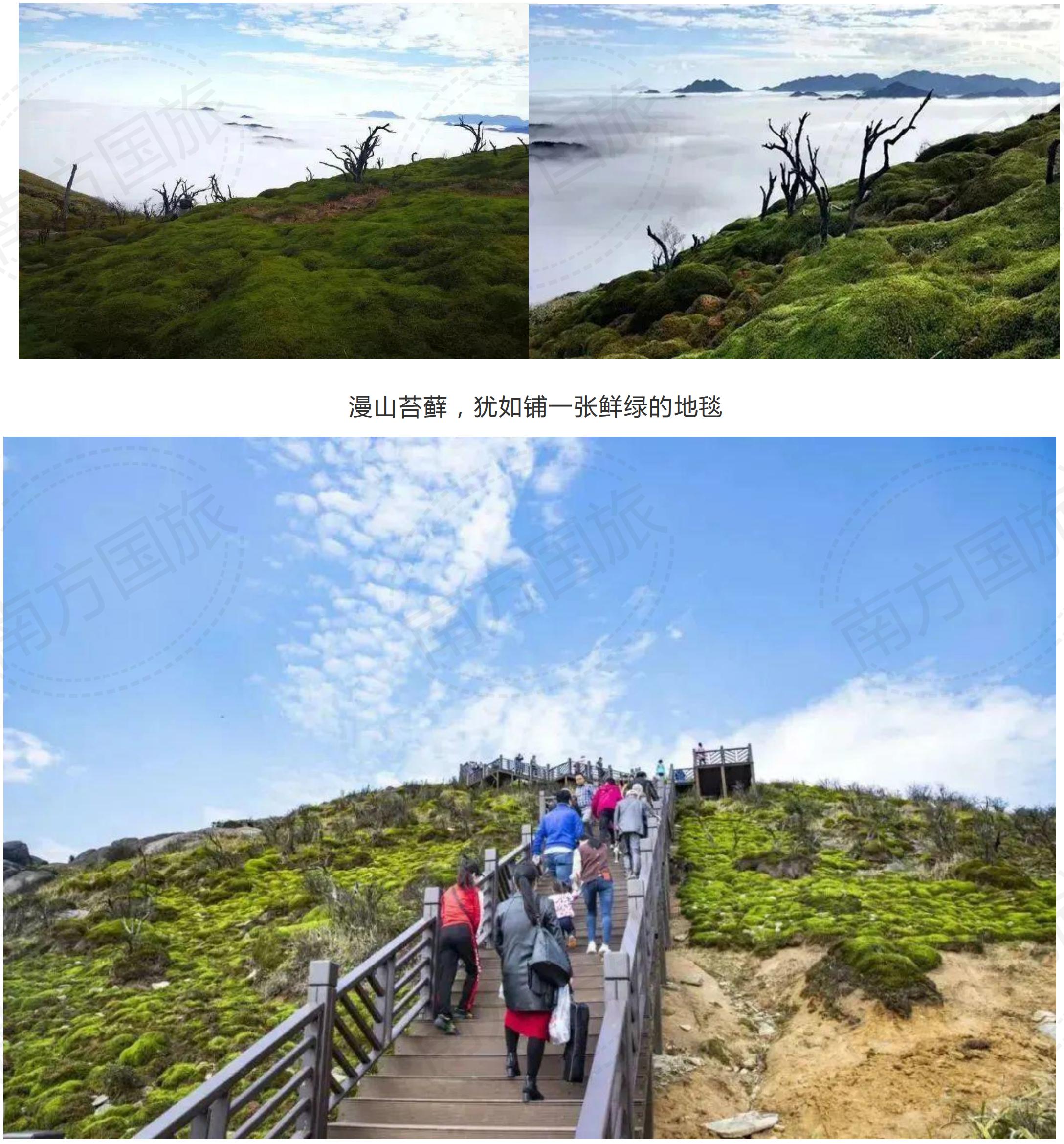 云冰山度假民宿竹林别墅客栈2天1晚套票含双人景区门票双人早餐双人