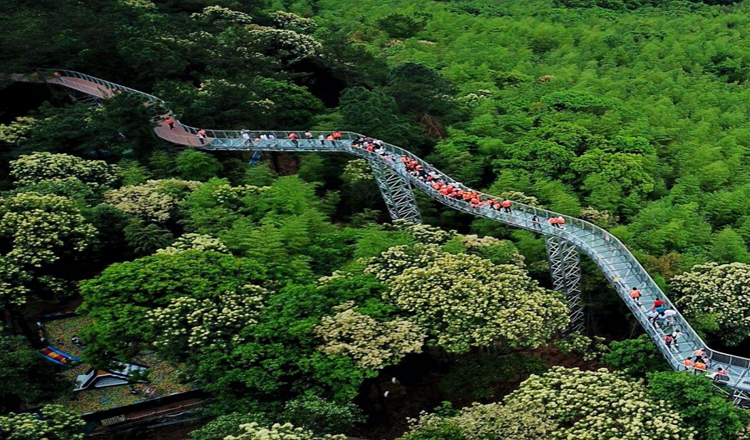 江西赣州大余丫山大龙山生态酒店2人早餐丫山风景区门票含2人森林公园