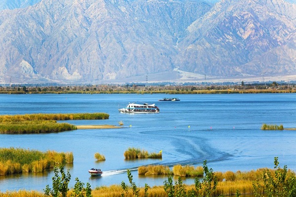 宁夏银川沙湖生态旅游区电子票看珍鸟奇禽群鸟嬉戏赏大漠风光