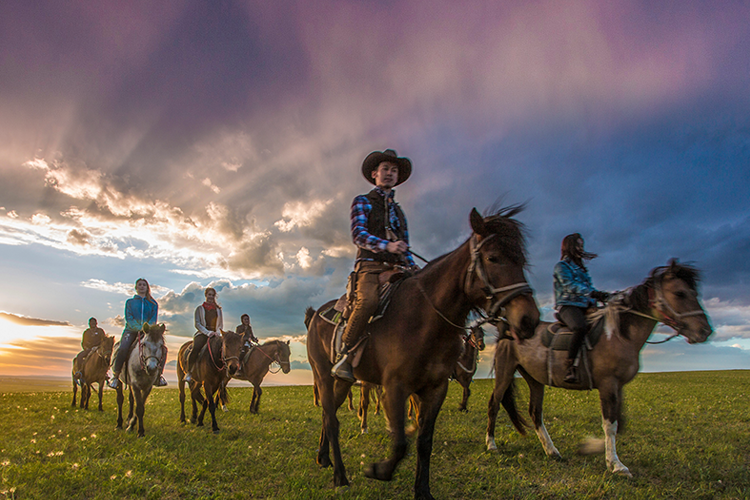 草原马背无人机航拍骑马 蒙古包 网红秋千 极限滑草/夜拍星空篝火晚会