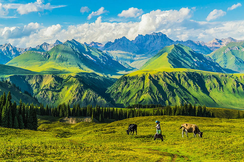 新疆尼勒克县百里画廊自驾导航路线