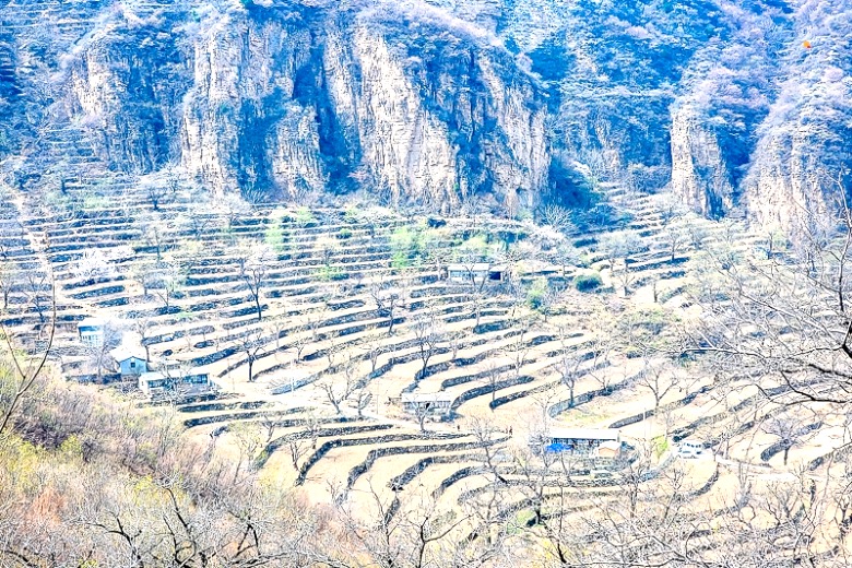 京郊房山梨花梯田一日游世外桃源茅舍疏篱谷雨时节赏大山深处梨花村