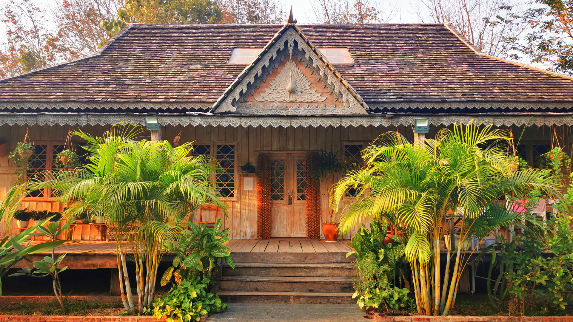 寻找向往的生活西双版纳曼远村基诺山寨纯玩一日游走进蘑菇屋探秘原始