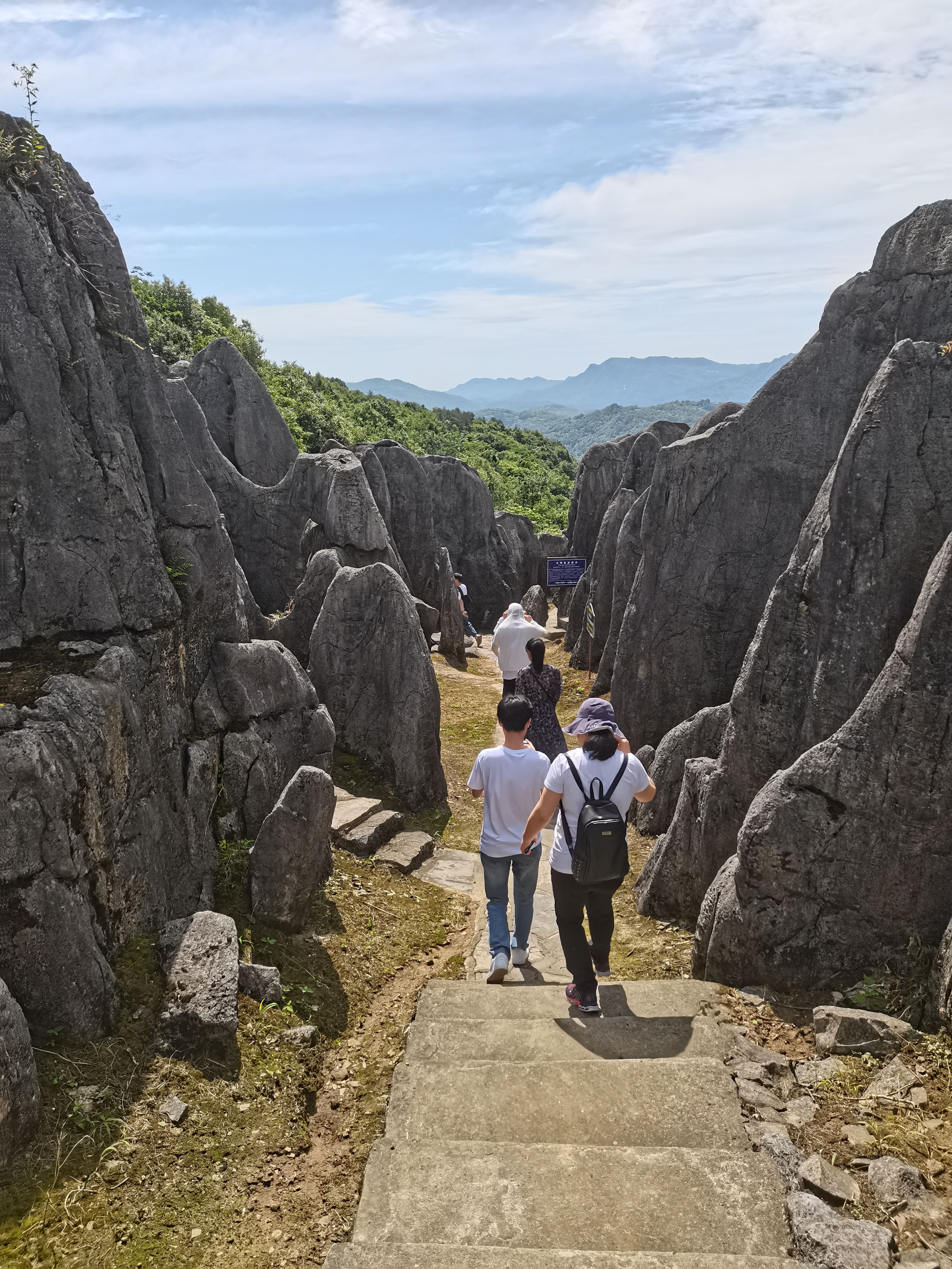 【宜都】奥陶纪石林电子门票-成人票(参观4-5亿年前化石)