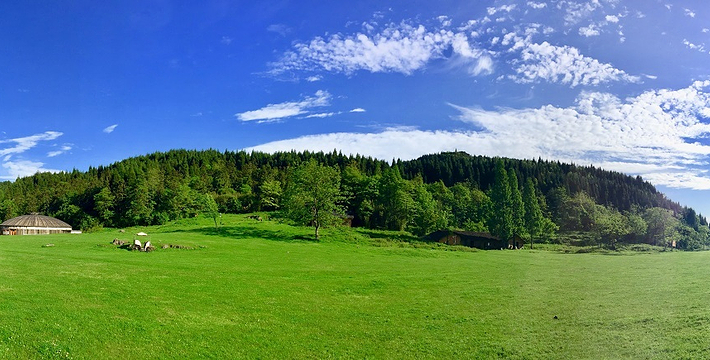 重庆武陵山国家森林公园门票
