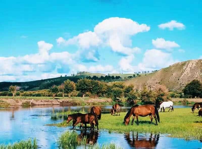 漠南6日游至臻草原哈素海沙漠观星红格尔公主府希拉穆仁