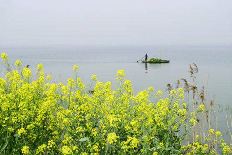 苏州阳澄湖莲花岛门票含往返游船票忆园博物院三元府邸