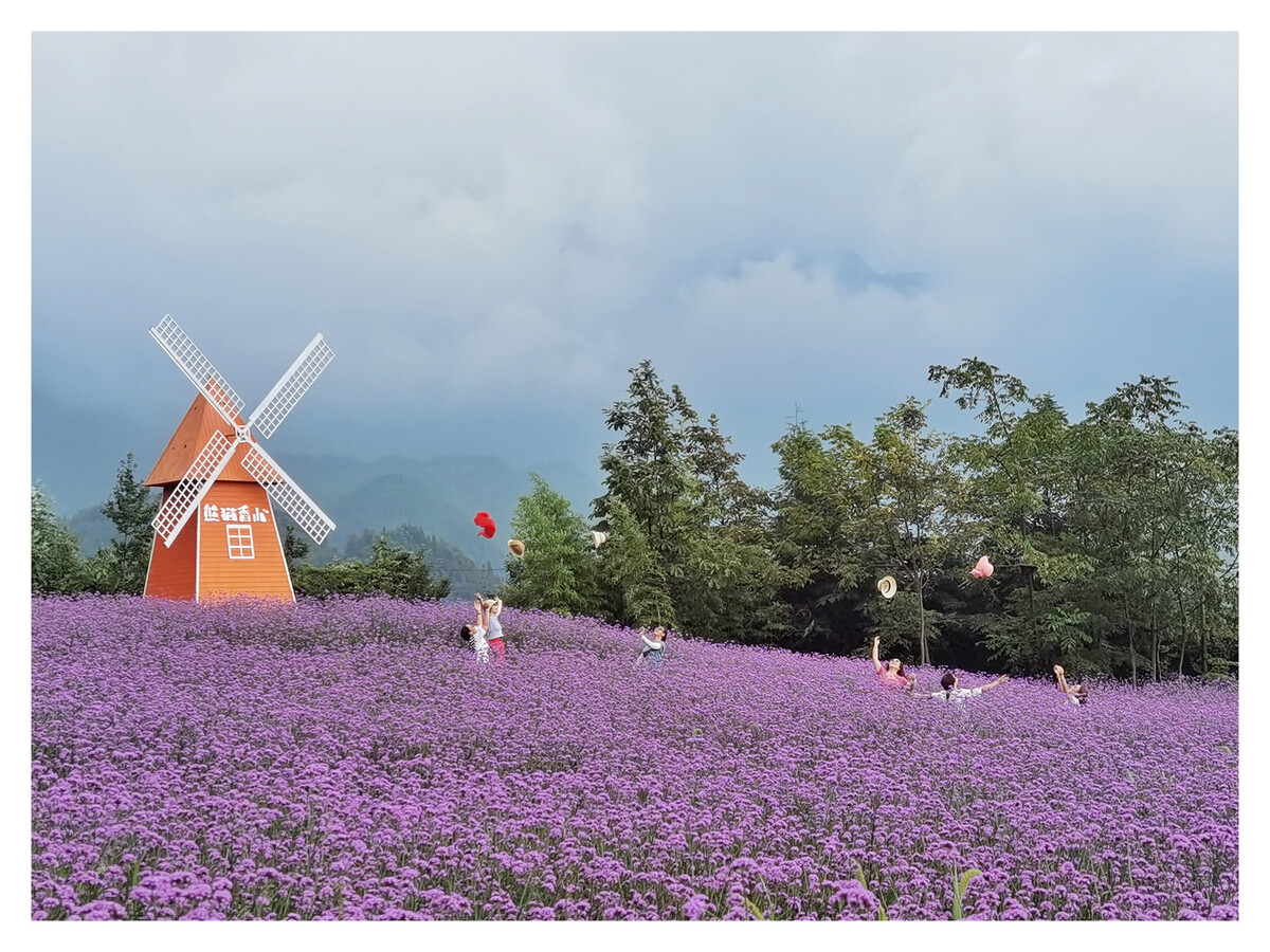 熊猫香山位于彭州龙门山镇,地处浦江河谷旅游生态区,大熊猫国家公园