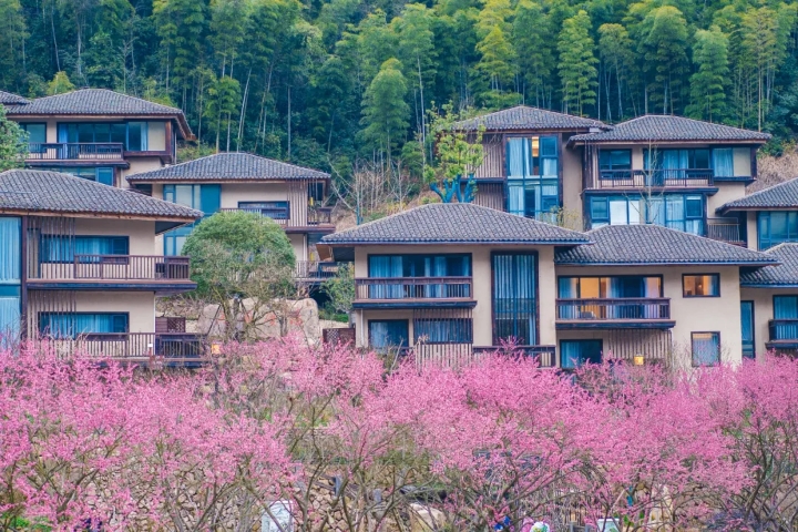 葛仙山月染仙居住宿1晚双人早餐双人门票双人往返缆车双人观光车双人