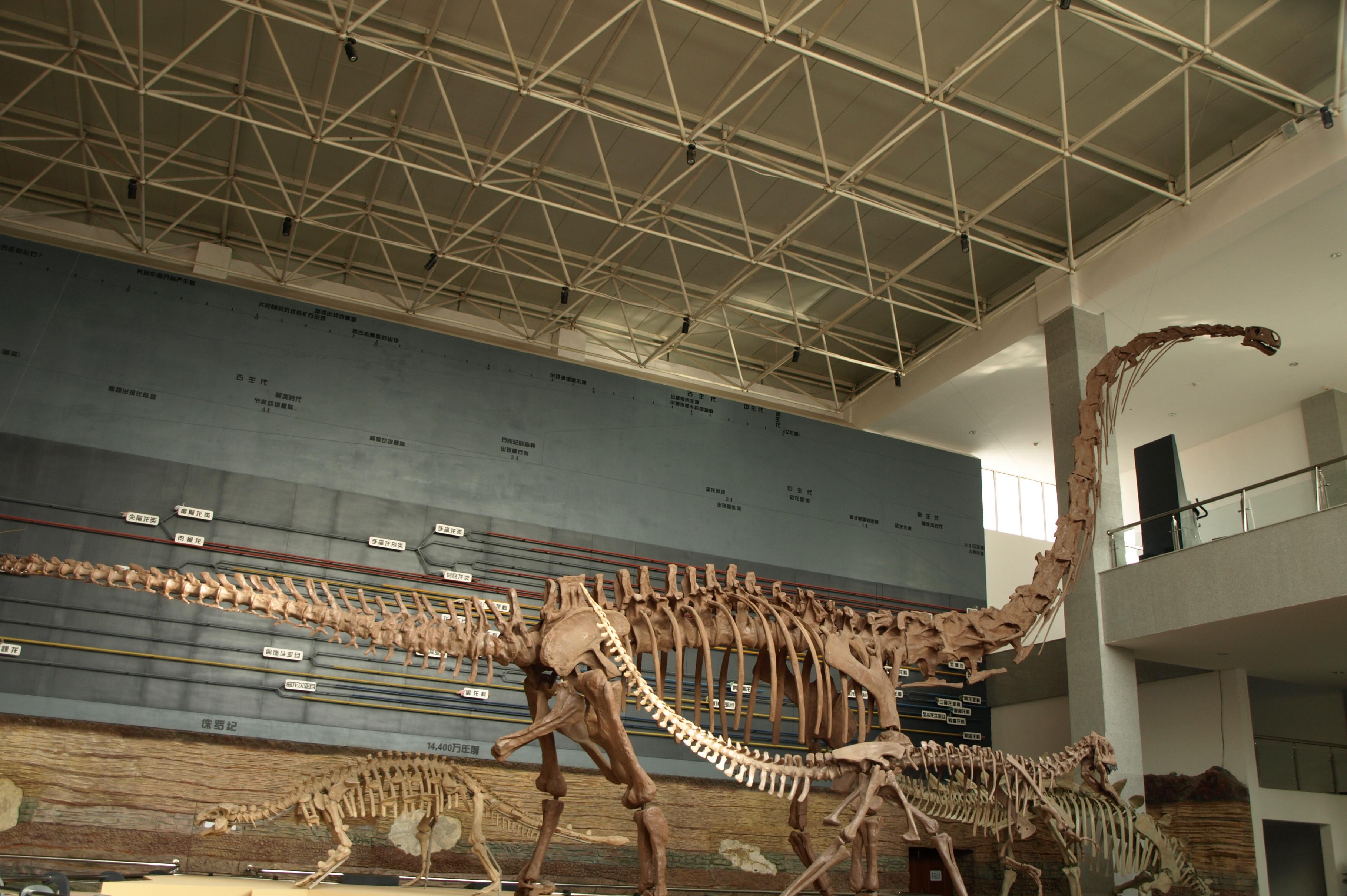 辽宁朝阳鸟化石国家地质公园 电子票 当日下单1小时后可用