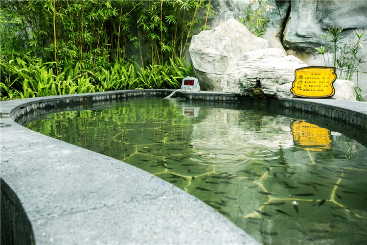 重庆心景温泉门票以竹文化为主题的温泉酒店