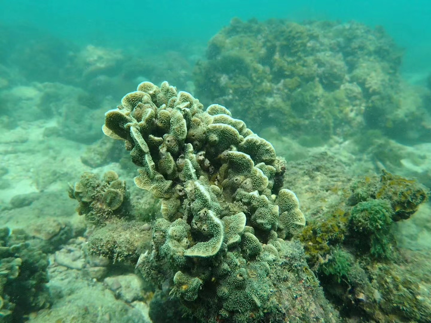 广西南宁 北海涠洲岛 北海海底潜水 体验深潜 水肺潜水 含潜水装备 深潜体验教练一对一 马蜂窝自由行 马蜂窝自由行