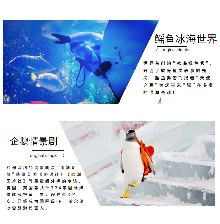 哈尔滨极地馆二期极地公园门票企鹅岛极地秀馆潜艇码头白鲸秀场火星