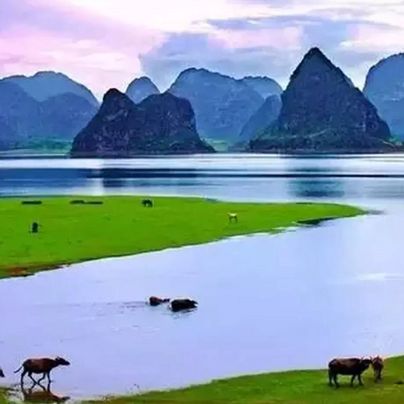 广西靖西渠洋湖大门票游船未使用随时退