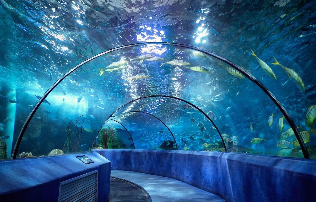 南京海底世界门票成人票2张