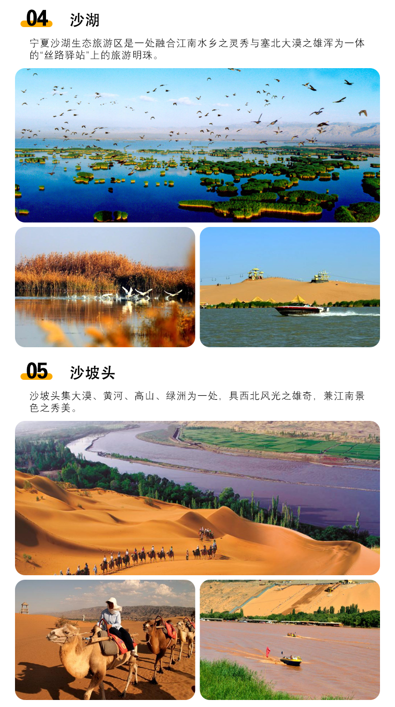 新城区票务服务背后的行业洞察与趋势分析