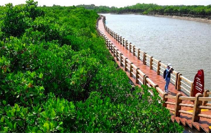 海口东寨港红树林自然保护区随订随取