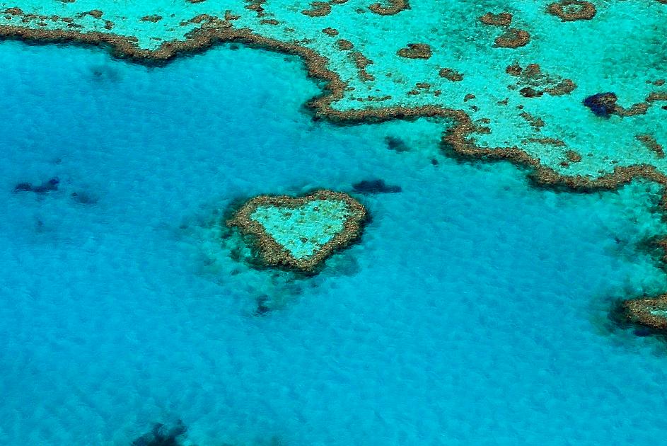 【蜂蜂力荐】观光飞机观览心形大堡礁,马蜂窝自由行 - 马蜂窝自由行
