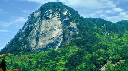 岳阳福寿山森林公园门票